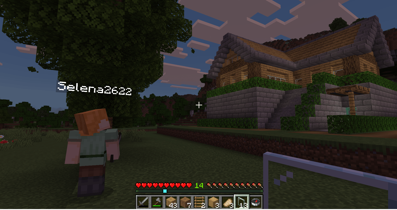 minecraft-playtime-03